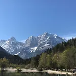 Апартаменты Apartma Carpe Diem Краньска Гора