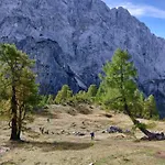 Apartma Carpe Diem *