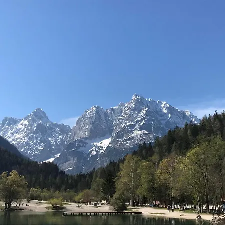 Apartment Apartma Carpe Diem Kranjska Gora