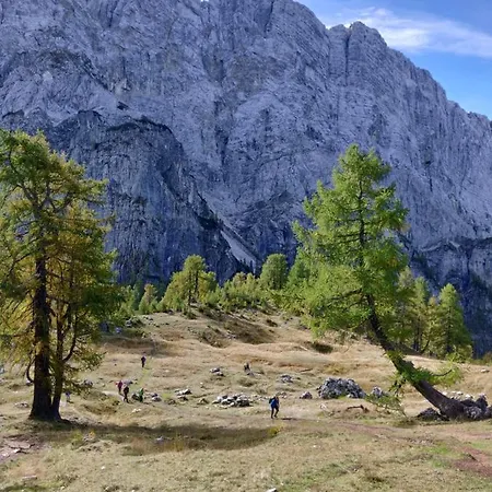 Apartma Carpe Diem *