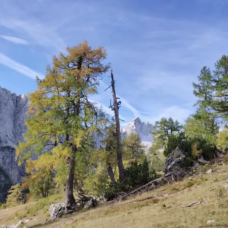 Apartma Carpe Diem *