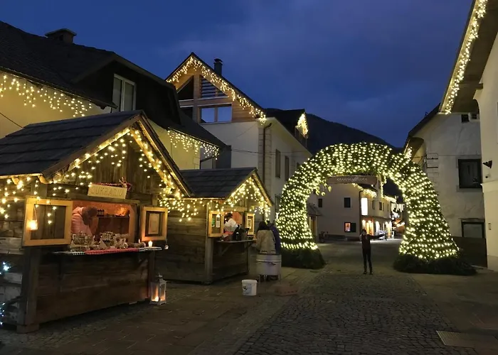 Daire Apartma Carpe Diem