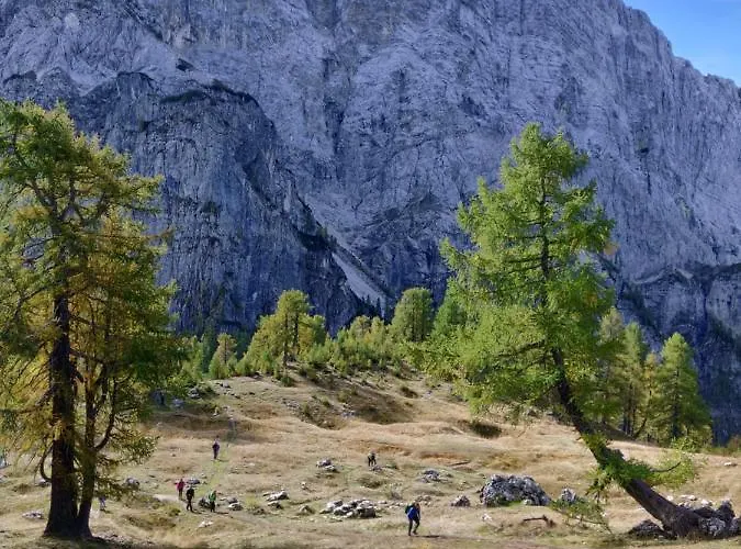 Apartma Carpe Diem *