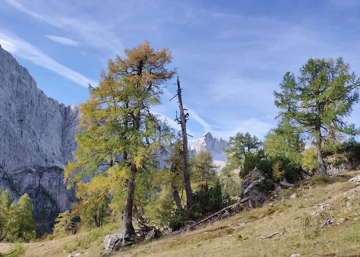 Apartma Carpe Diem *