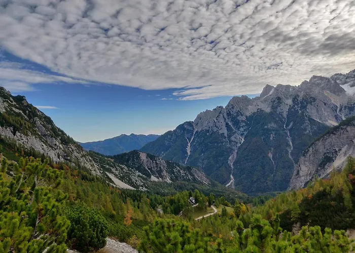 Daire Apartma Carpe Diem Kranjska Gora